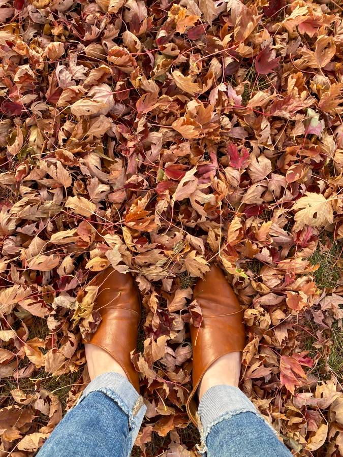 Fall leaves on the front lawn - Week in Rewind with Midwest Life and STyle Blog