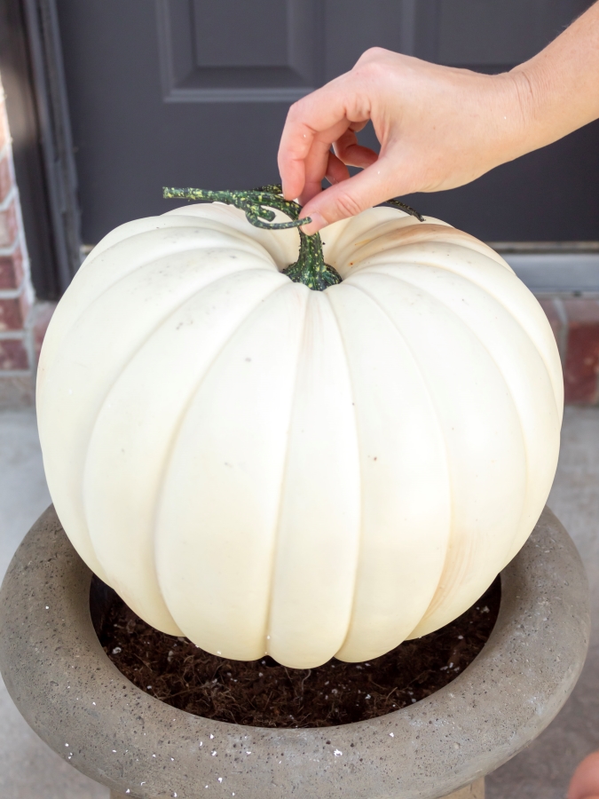 Anchoring the Pumpkin in the Urn Planter - How To Make A Stacked Pumpkin Topiary 