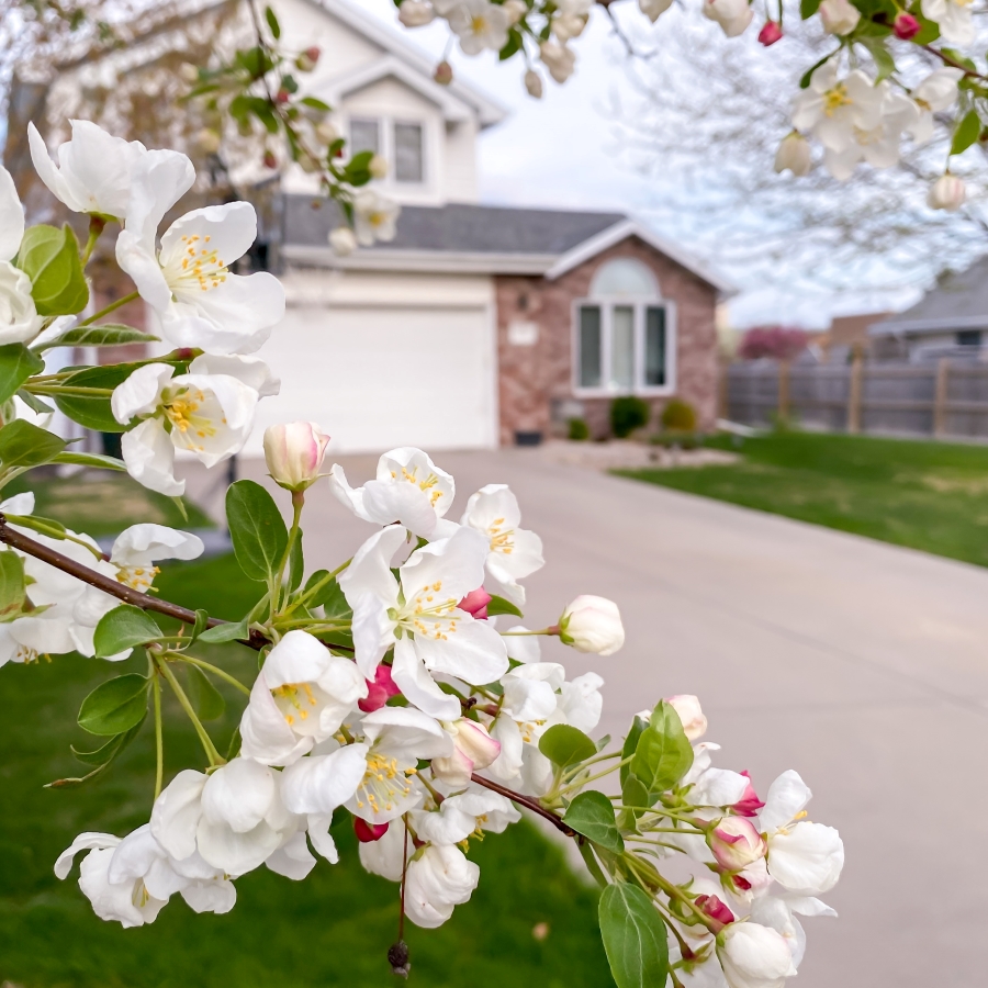 Our House in the Spring - Midwest Life and Style Blog