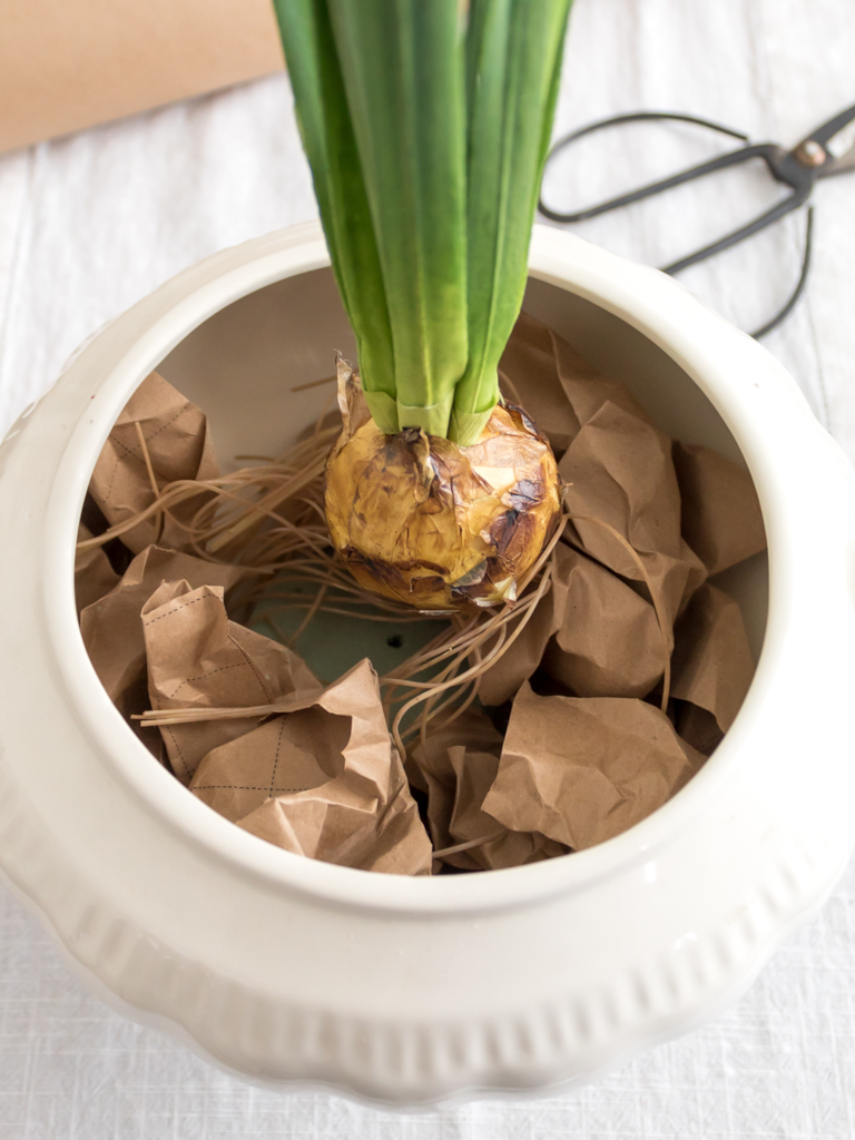 Make a Simple Winter Centerpiece with Paperwhites - Midwest Life and Style Blog