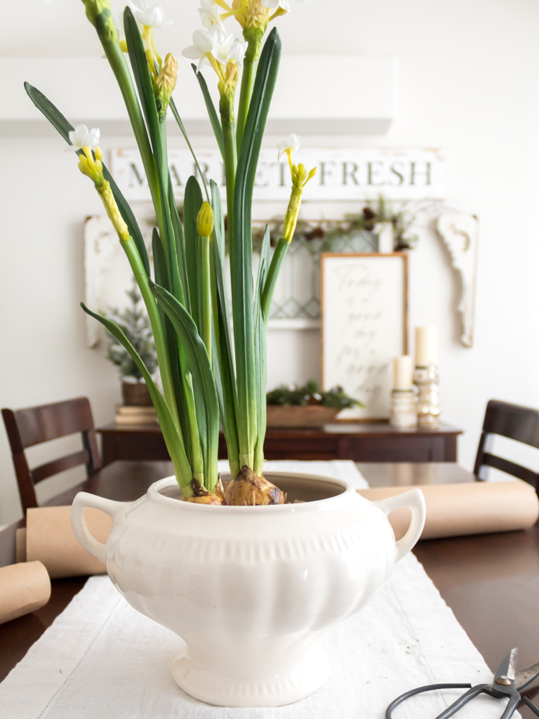 Make a Simple Winter Centerpiece with Paperwhites - Midwest Life and Style Blog