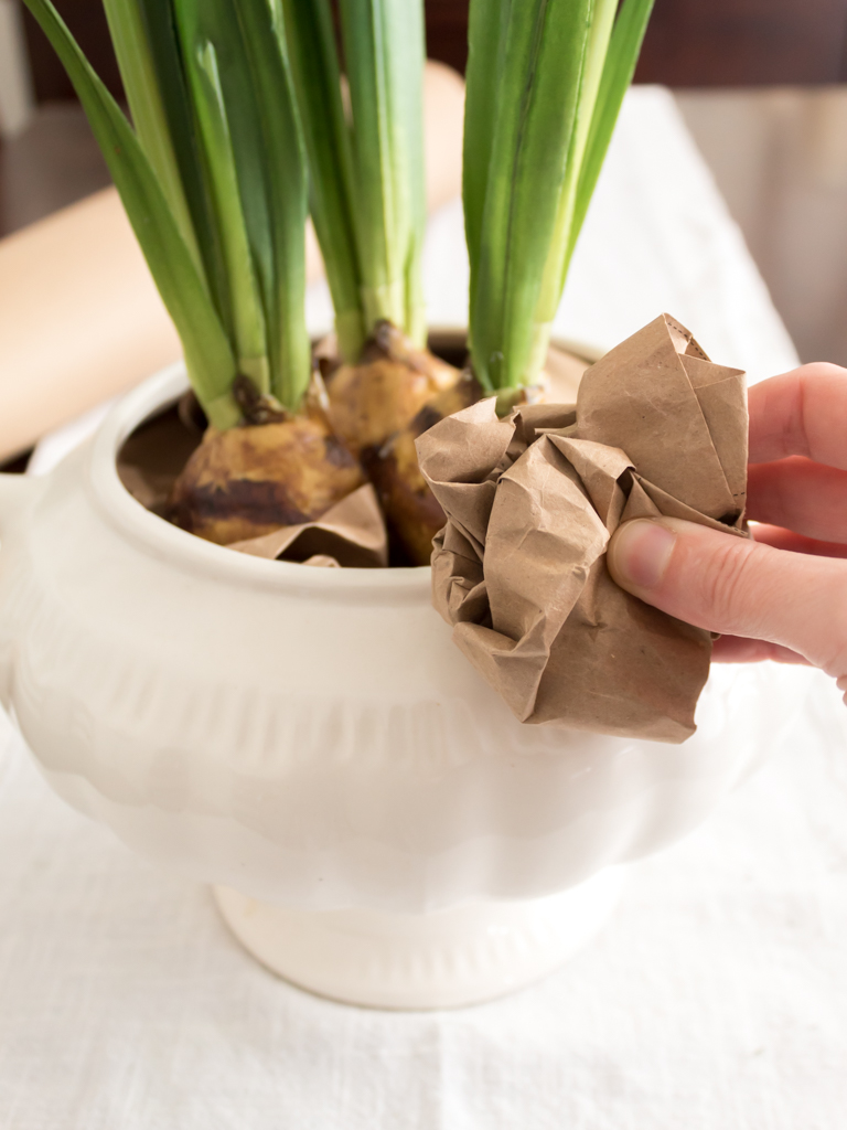 Make a Simple Winter Centerpiece with Paperwhites - Midwest Life and Style Blog