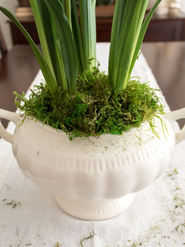 Finishing the Paperwhite Centerpiece with Spanish Moss - Midwest Life and Style Blog