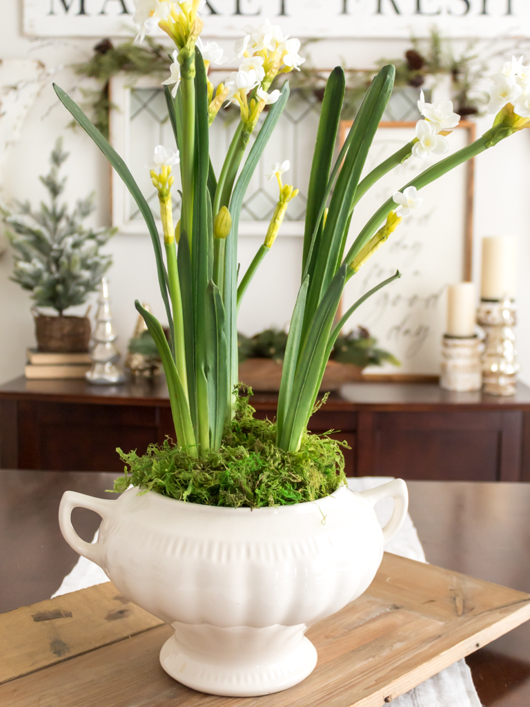 Make a Simple Winter Centerpiece with Paperwhites - Midwest Life and Style Blog