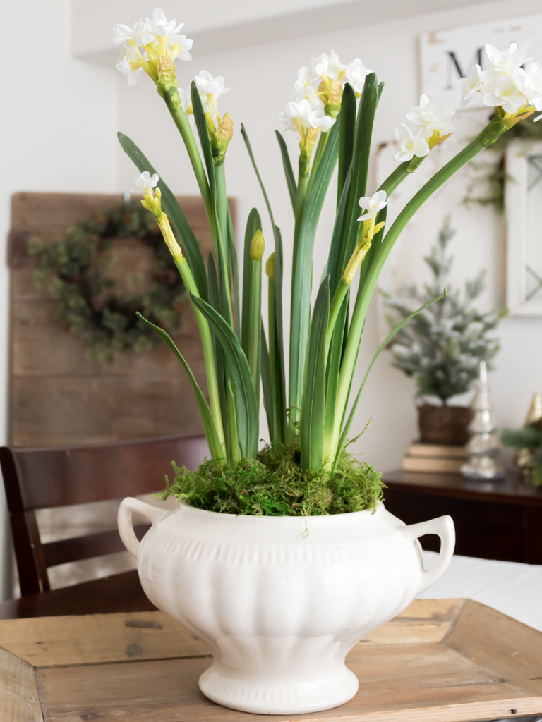 Make a Simple Winter Centerpiece with Paperwhites - Midwest Life and Style Blog