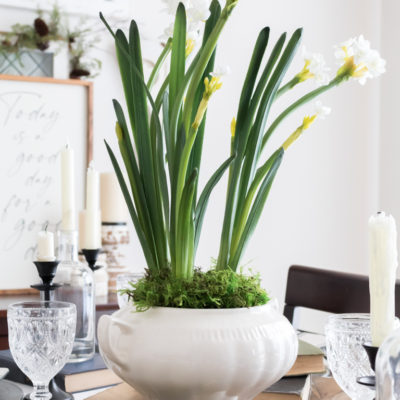 Make A Simple Winter Centerpiece With Paperwhites