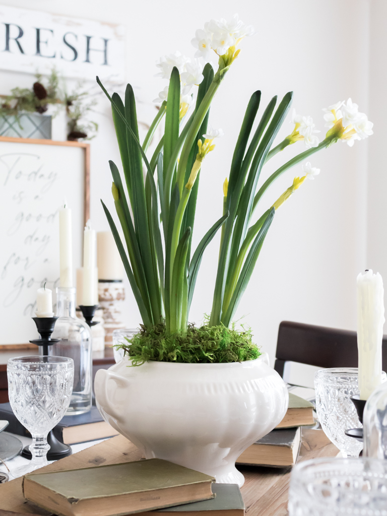 Simple and Festive Christmas Centerpiece Ideas - Winter Paperwhites in a Vintage Vase