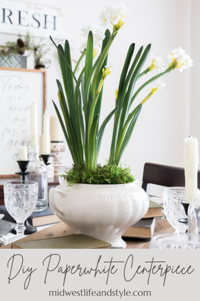 Make a Simple Winter Centerpiece with Paperwhites - Midwest Life and Style Blog