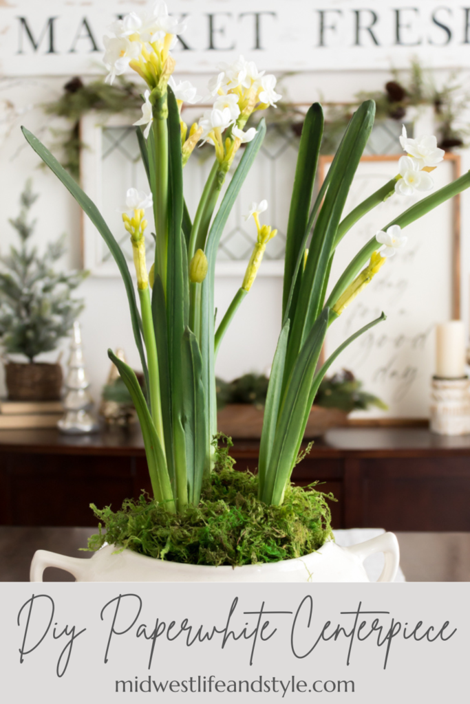 Make a Simple Winter Centerpiece with Paperwhites - Midwest Life and Style Blog