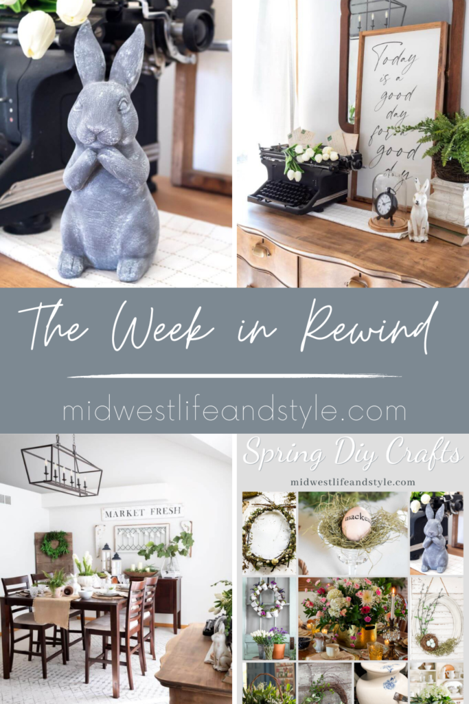 Week in Rewind with Midwest Life and Style Blog 