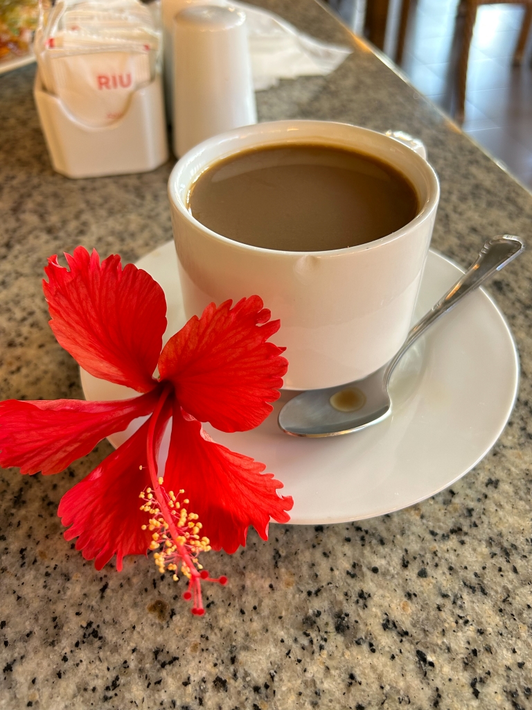 Coffee and Pretty Flowers on Vacation at Breakfast - Week in Rewind with Midwest Life and Style Volume 57