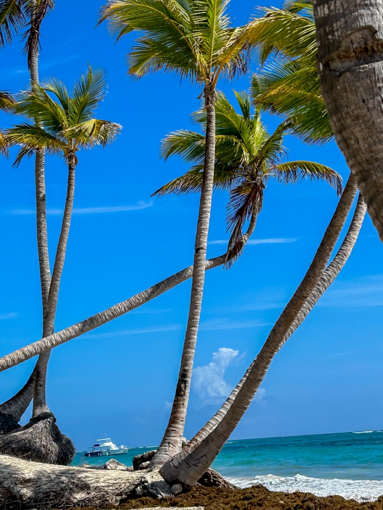 Beach Views in Punta Cana - Week in Rewind with Midwest Life and Style Volume 57