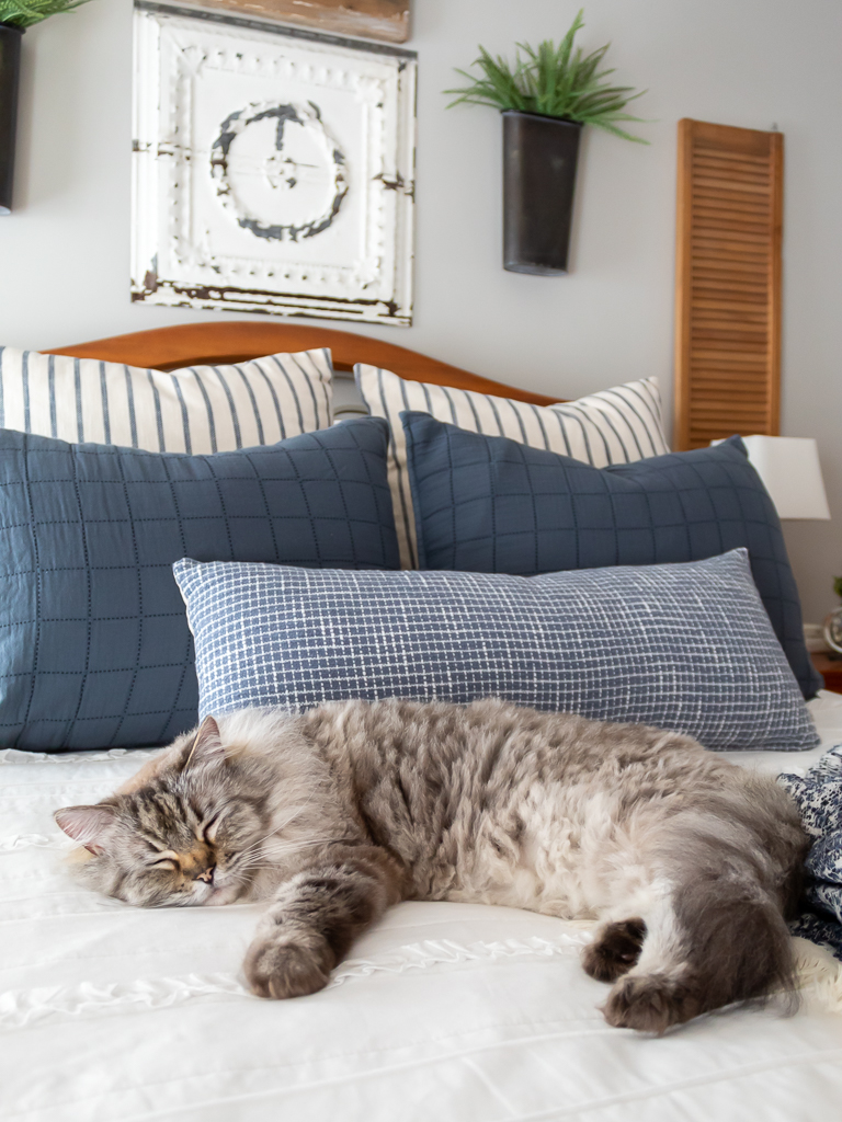 Snuggling Kitty on Summer Bedding - Red White And Blue Summer Home Tour - Midwest Life and Style Blog