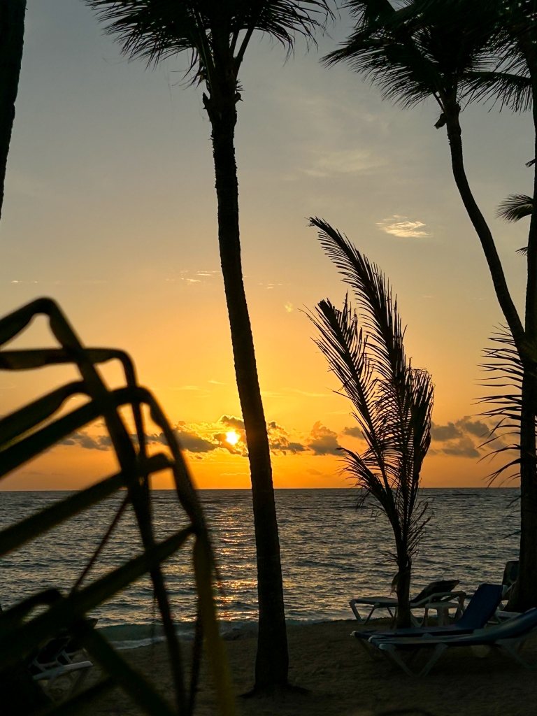 Beach and Sunrise Views Through the Plam Trees in Punta Cana - Midwest Life and Style Blog