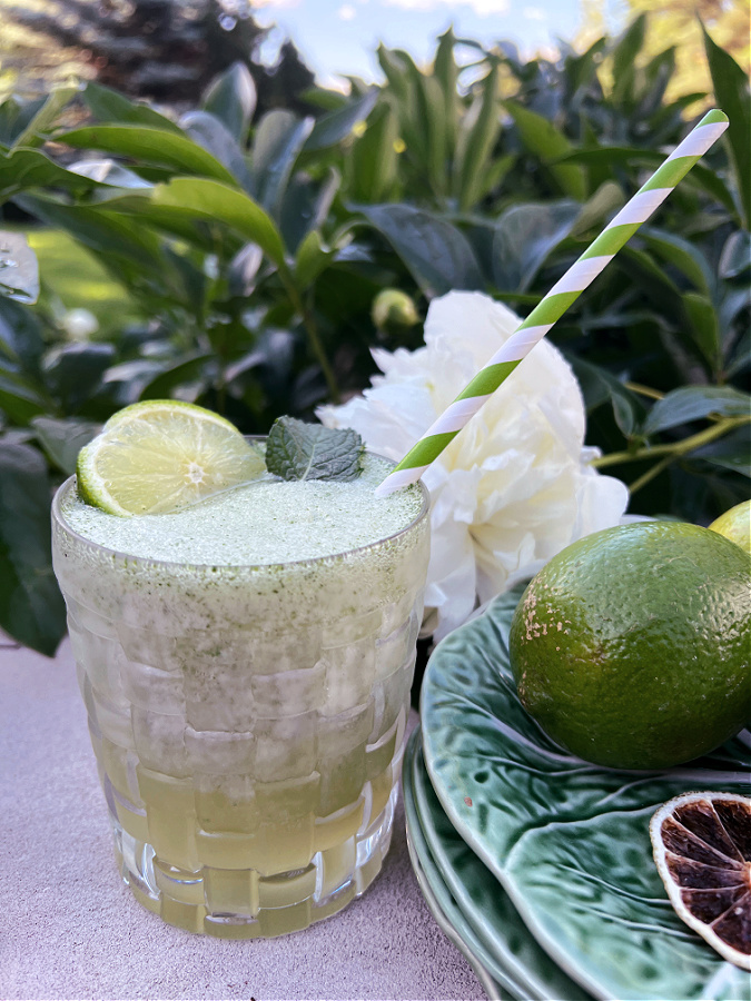 Easy Frozen Mojito from The Tattered Pew - 13 Easy Tropical Party Food Recipes You Need To Try - Midwest Life and Style Blog