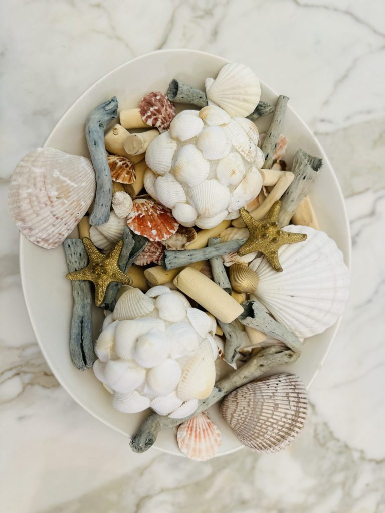 DIY Shell Decor from Amy Sadler Desings - The Week in Rewind Volume 62 - Midwest Life and Style