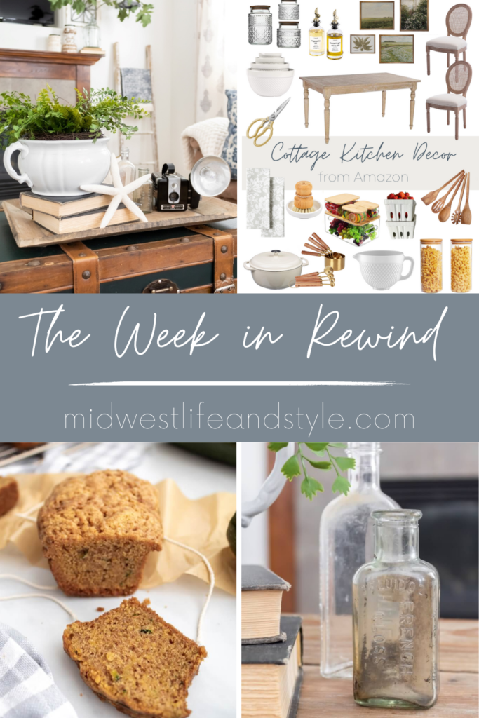 The Week in Rewind Volume 61 - Midwest Life and Style Blog