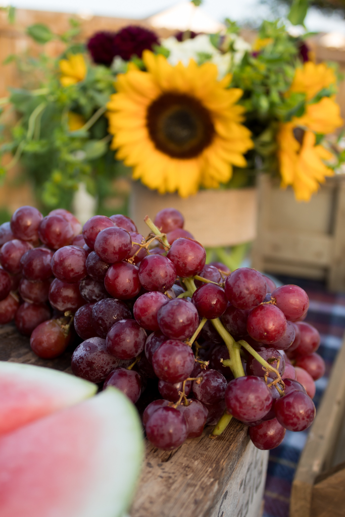 Grapes and Fresh Fruit at a Potluck Party - Midwest Life and Style Blog