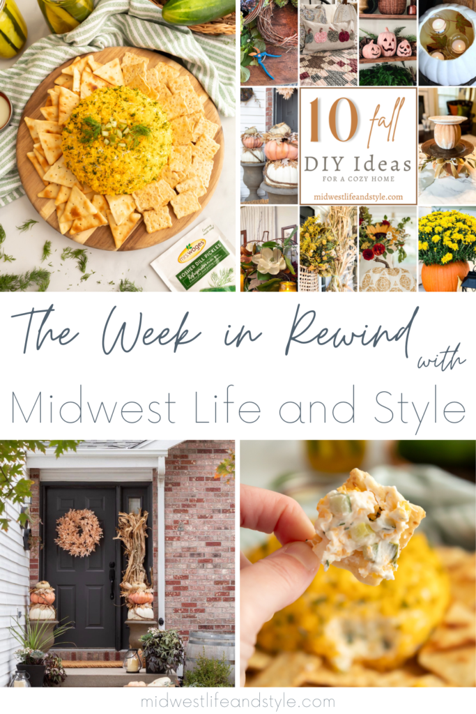 Week In Rewind Volume 64 - Midwest Life and Style Blog