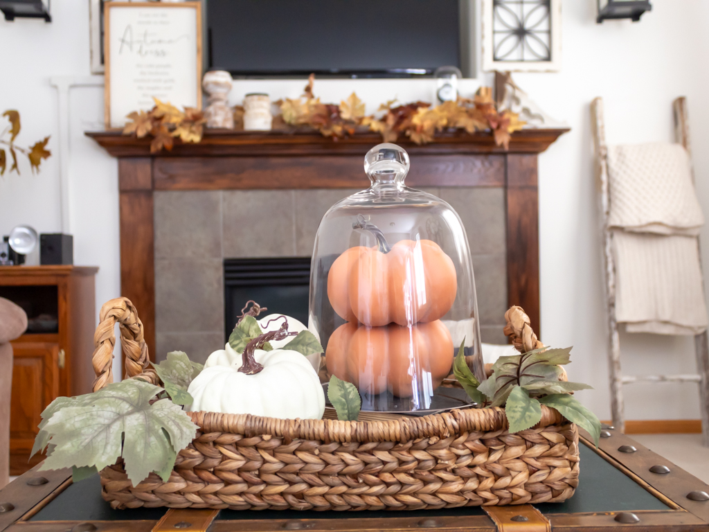 Pumpkins Under Glass Cloche - Fall Vignette - Midwest Life and style Bog