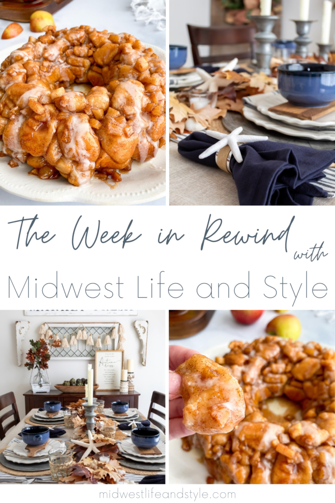 Week In Rewind Volume 66 - Midwest Life and Style Blog