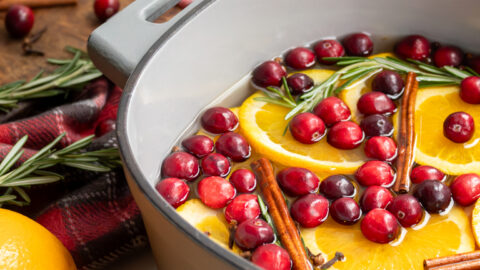 How to Make a Holiday Simmer Pot - bell' alimento