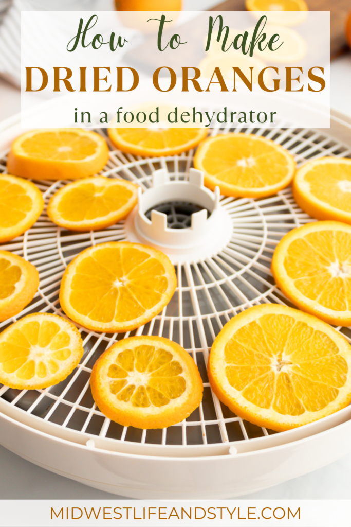 Simple Guide To Making Dried Oranges In A Dehydrator For Christmas