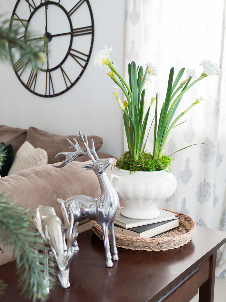 Christmas Paperwhites and Vintage Stoneware 