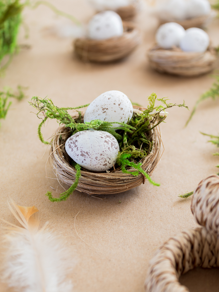 Mini Bird's Nest with Eggs and Spanish Moss