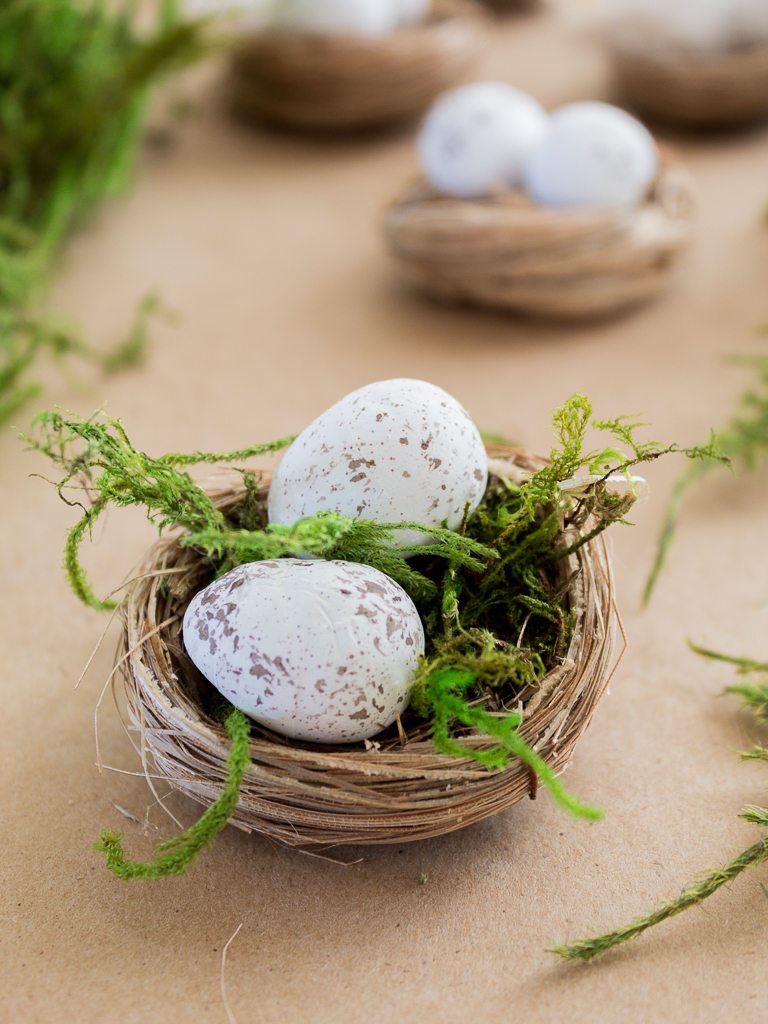 Close-up of Mini Bird's Nest with Eggs and Spanish Moss