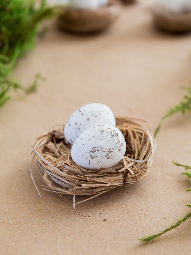 Close-Up of Mini Bird's Nest with Eggs