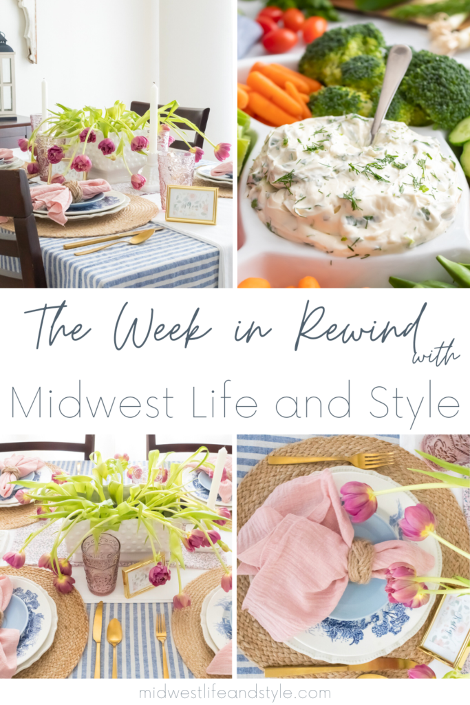 Week in Rewind Volume 79 - Midwest Life and Style Blog