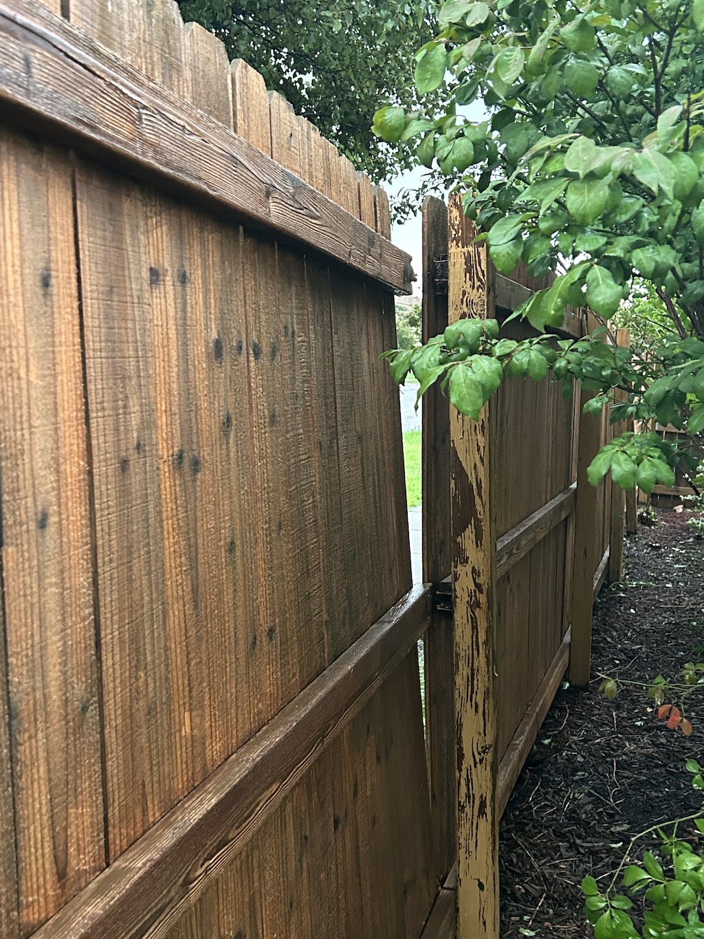 Fence panel damaged in a wind storm