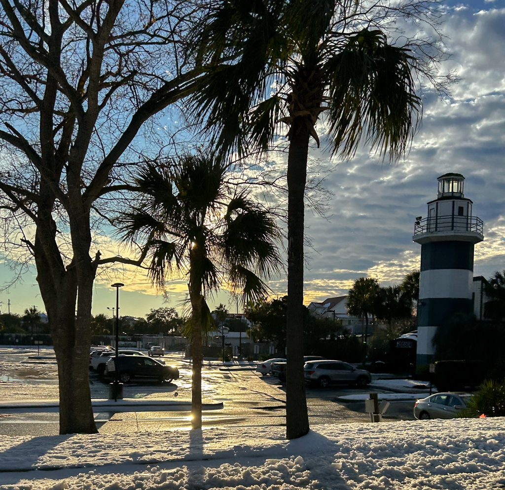 Charleston, SC outdoor photos of snow and palmtrees