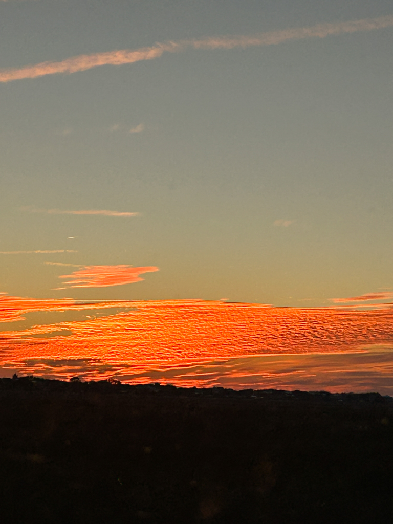 Sunset in wintertime in Charleton, SC